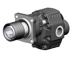 NPGH ASAE-FEMMINA Z=21