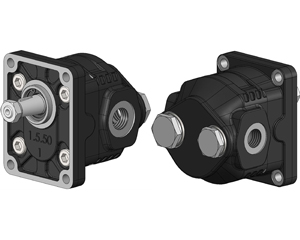 2P CONEXIONES POSTERIORES Y LATERALES