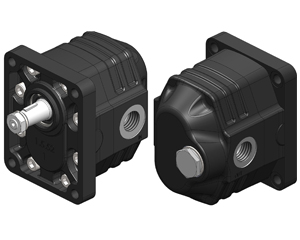 3P CONEXIONES POSTERIORES Y LATERALES