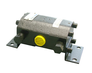 RDF + V. RIFASAMENTO INCORPORATA