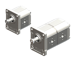2AP AND 2AM PUMPS AND MOTORS