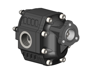 NPGH UNI ERSTE PUMPE DER TANDEMPUMPE