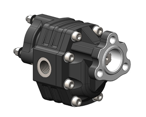 NPH UNI ERSTE PUMPE DER TANDEMPUMPE